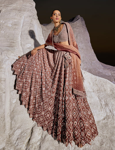 Brick Cinnamon Lehenga Set