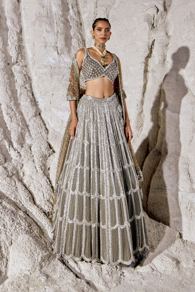 Metallic Silver Grey Lehenga Set