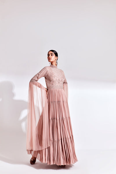 Pale Peach Collar Band Gown